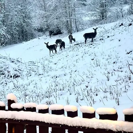 Na Cuplu - Opcjonalnie Balia Jacuzzi