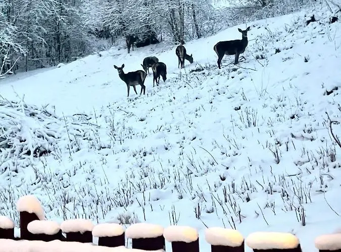 Na Cuplu - Opcjonalnie Balia Jacuzzi